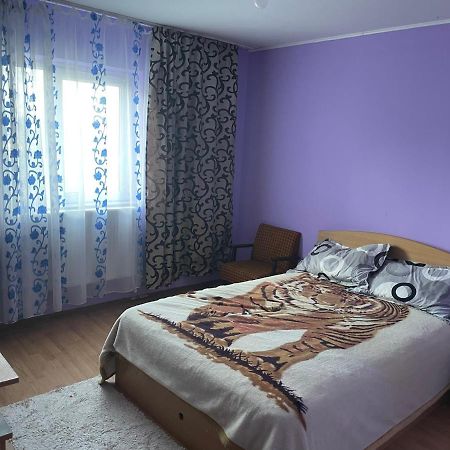 Sofia Rezidence Apartamento Dragasani Exterior foto